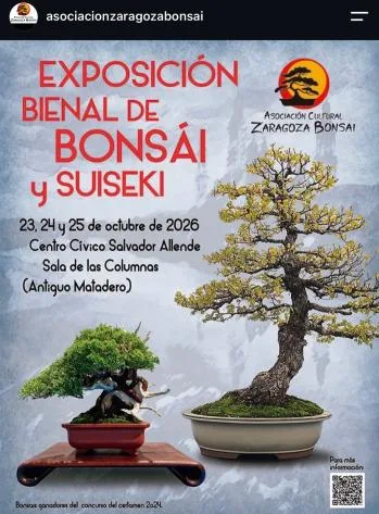 Exposición Bonsai y Suisekis