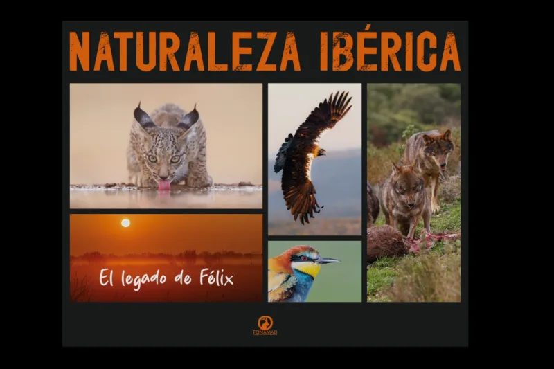 Exposición " Naturaleza Ibérica, el legado de Félix