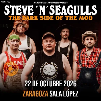 Steve’n’Seagulls