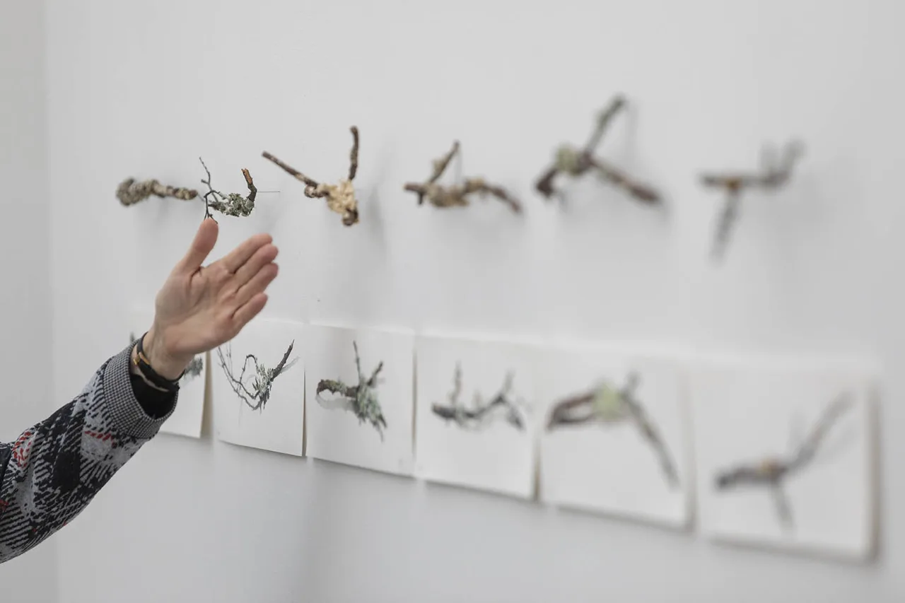 Ellas ilustran botánica. Contemporáneas en la ilustración botánica