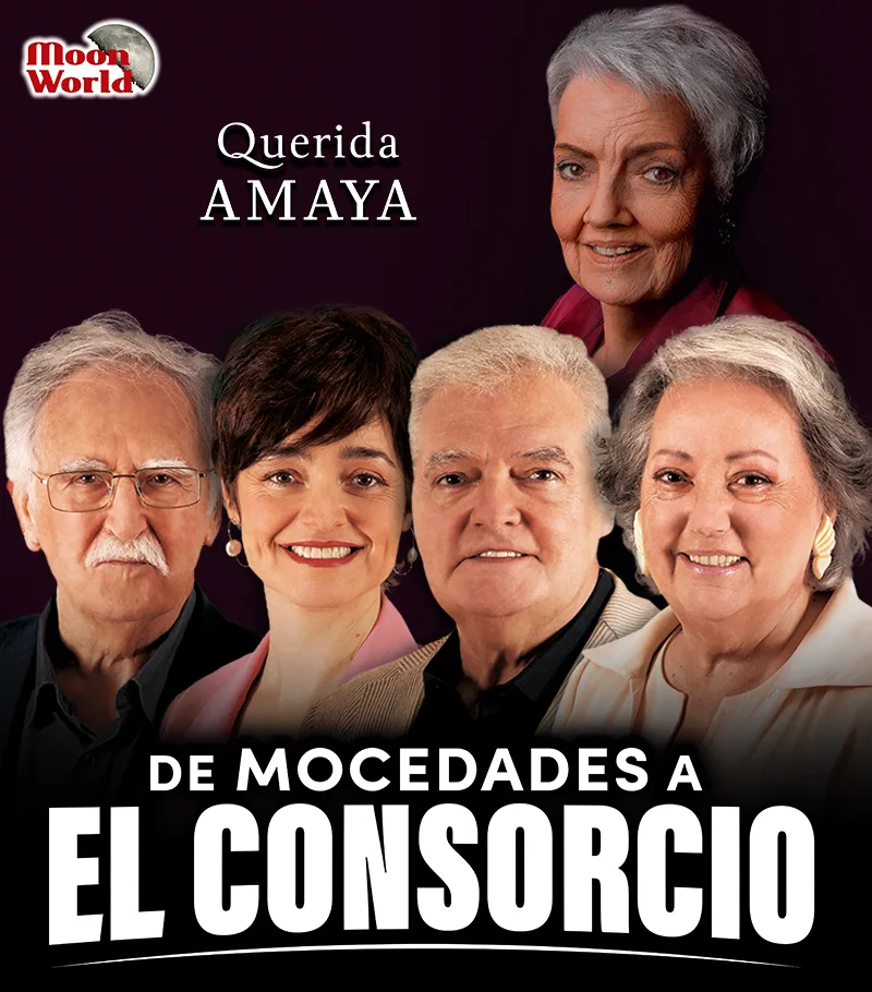 QUERIDA AMAYA…, DE MOCEDADES A EL CONSORCIO