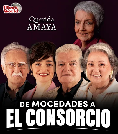 QUERIDA AMAYA…, DE MOCEDADES A EL CONSORCIO