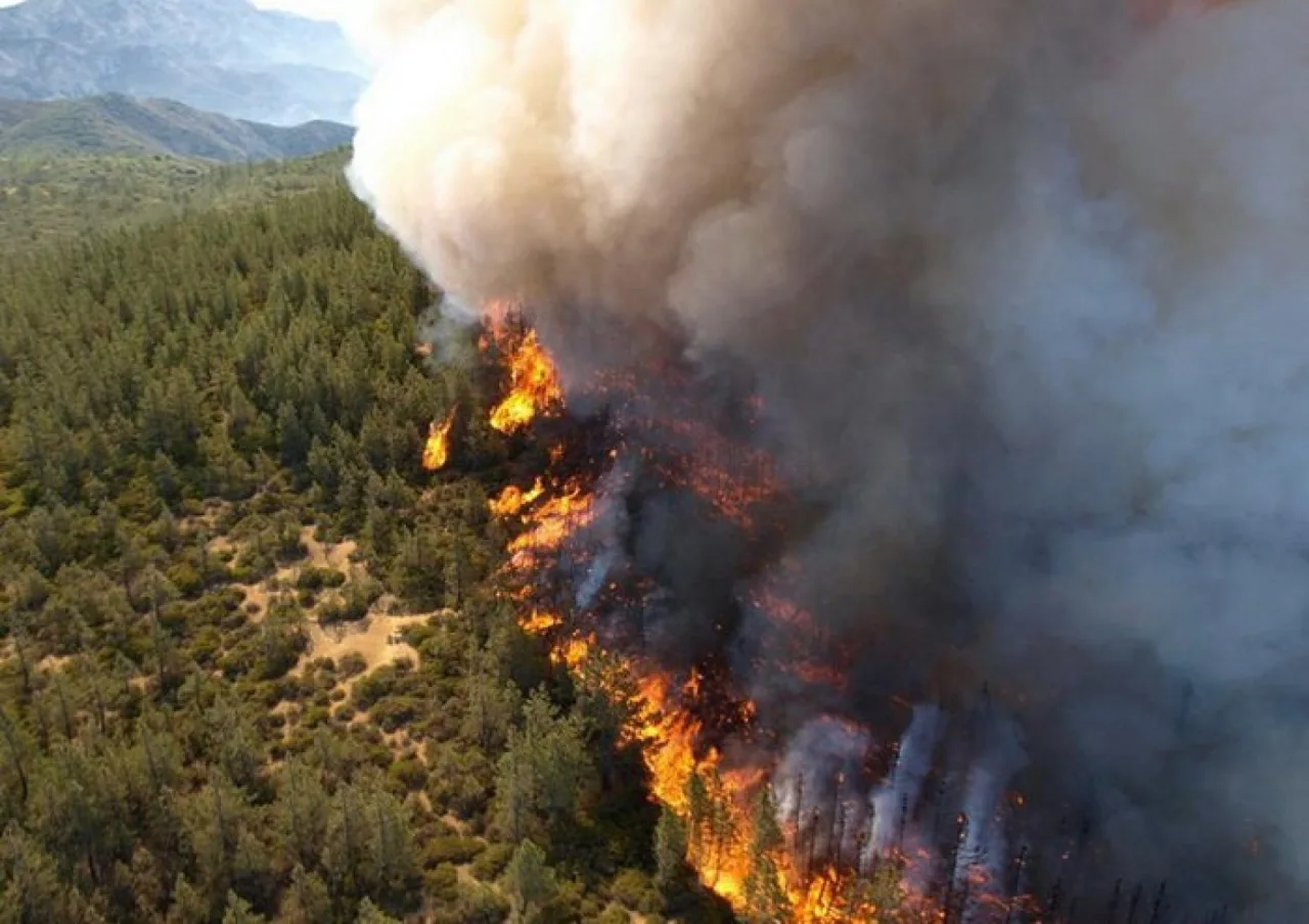 Incendios forestales
