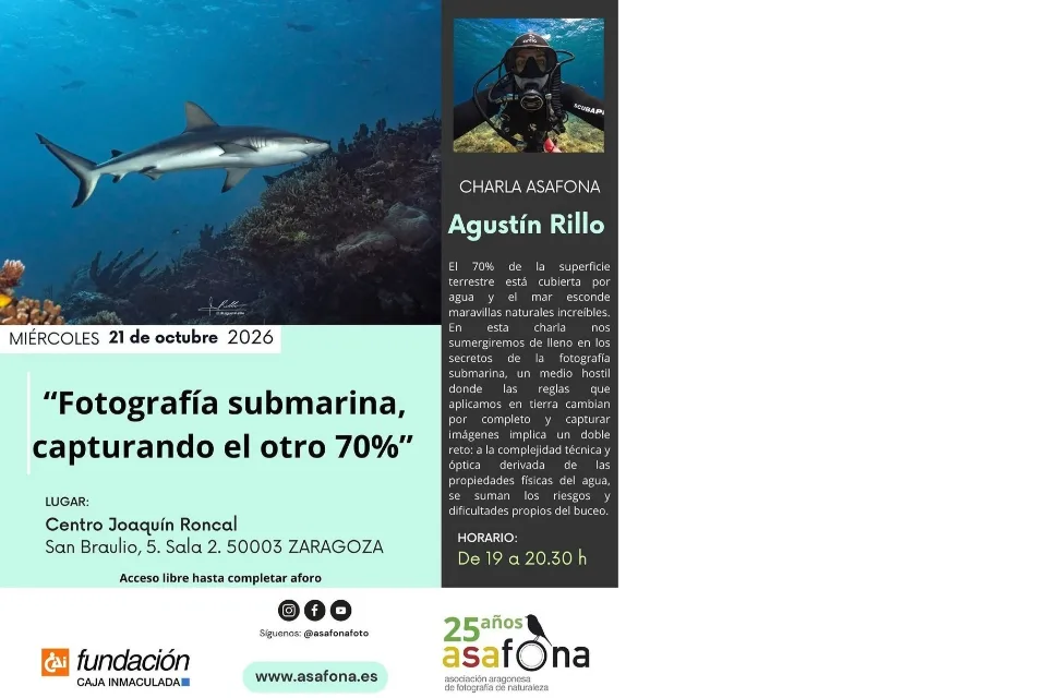 Charla ASAFONA: "Fotografía submarina, capturando el otro 70%"