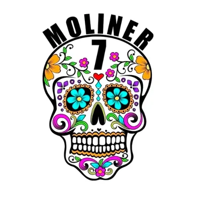 Moliner 7 Terraza